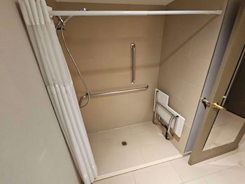 Standard Room, 1 King Bed, Accessible, Bathtub