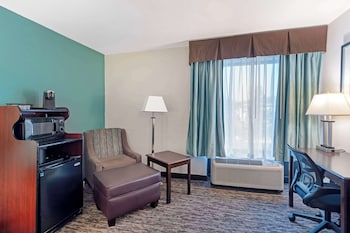 Standard Room, 1 King Bed, Non Smoking, Refrigerator & Microwave