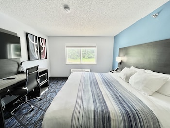 Suite, 1 King Bed, Non Smoking