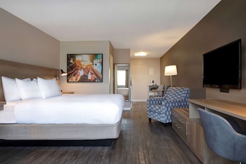 Limited View, 1 King Bed Non-Smoking Efficiency Room