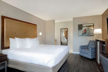 Room, 1 King Bed, Non Smoking