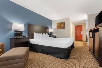 Standard Room, 1 King Bed, Accessible, Non Smoking