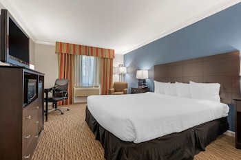 Standard Room, 1 King Bed, Accessible, Non Smoking