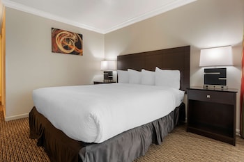Standard Room, 1 King Bed, Non Smoking, Refrigerator & Microwave