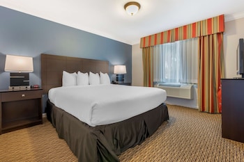 Suite, 1 King Bed, Non Smoking, Balcony (with Sofabed)