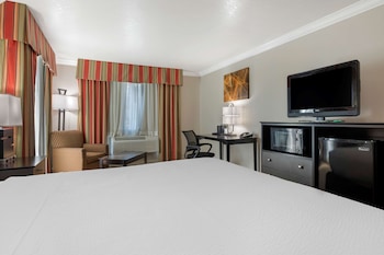 Standard Room, 1 King Bed, Non Smoking, Refrigerator & Microwave