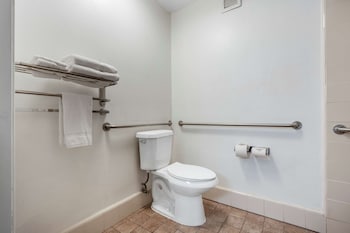 Standard Room, 1 King Bed, Accessible, Non Smoking