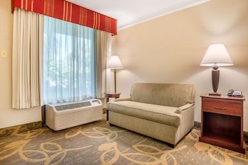 Room, 1 King Bed, Non Smoking (Pet Friendly)