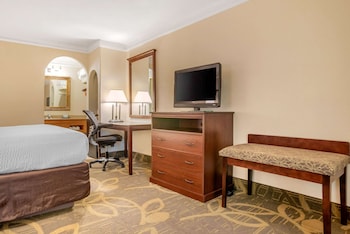 Room, 1 King Bed, Non Smoking (Pet Friendly)