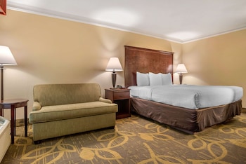 Room, 1 King Bed, Non Smoking (Pet Friendly)