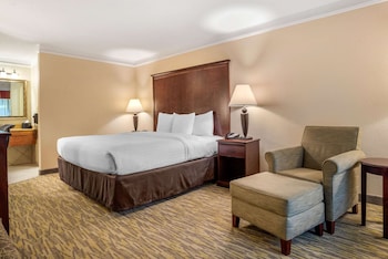 Standard Room, 1 King Bed, Non Smoking