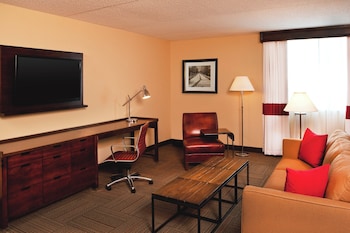 Suite, 1 King Bed with Sofa bed