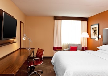 Suite, 1 King Bed with Sofa bed (Hearing Accessible)