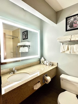 Studio Suite, 1 King Bed, Non Smoking (Walk-in Shower)