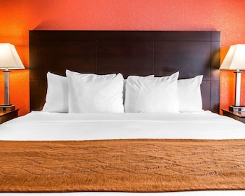 Room, 1 King Bed, Accessible, Non Smoking