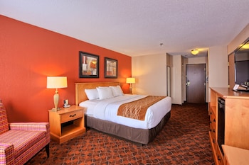Room, 1 King Bed, Accessible, Non Smoking