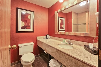 Suite, 1 Bedroom, Non Smoking (1 King and 2 Person Sofa Bed)