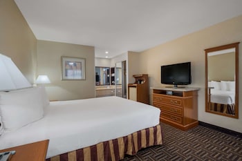 Standard Room, 1 King Bed, Non Smoking, Refrigerator