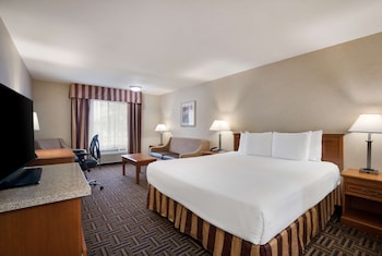 Business Suite, 1 King Bed, Non Smoking, Refrigerator & Microwave