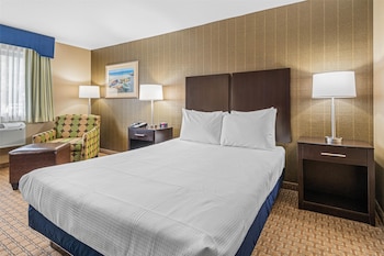 Standard Room, 1 Queen Bed, Accessible, Refrigerator & Microwave