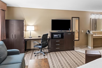 Suite, 1 King Bed, Accessible, Refrigerator & Microwave (with Sofabed)