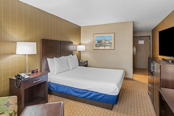 Standard Room, 1 Queen Bed, Accessible, Refrigerator & Microwave