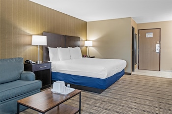 Suite, 1 King Bed, Non Smoking, Refrigerator & Microwave (with Sofabed)
