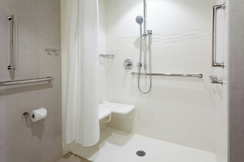 Studio, 1 King Bed with Sofa bed (Mobility/Hearing Access, Roll-in Shwr)