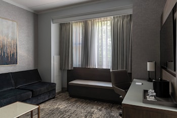 Suite, 1 Bedroom, Accessible Bathtub