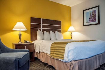 Standard Room, 1 Queen Bed, Non Smoking, Refrigerator