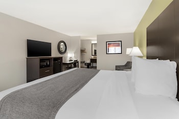 Standard Room, 1 King Bed, Non Smoking, Refrigerator & Microwave