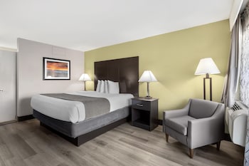 Standard Room, 1 King Bed, Non Smoking, Refrigerator & Microwave