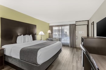Standard Room, 1 King Bed, Non Smoking, Refrigerator & Microwave