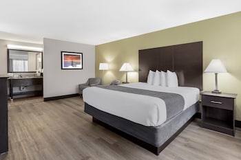 Standard Room, 1 King Bed, Non Smoking, Refrigerator & Microwave