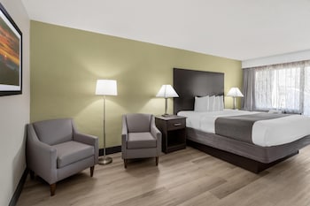 Standard Room, 1 King Bed, Non Smoking, Refrigerator & Microwave