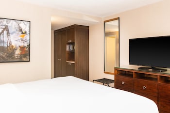 Room, 1 King Bed
