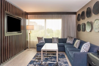Presidential Suite, 1 King Bed with Sofa bed