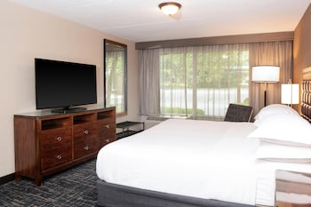 Executive Suite, 1 King Bed with Sofa bed