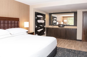 Executive Suite, 1 King Bed with Sofa bed