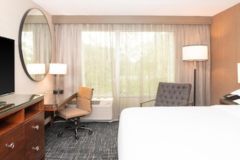 Room, 1 King Bed