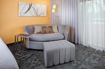 Room, 1 King Bed with Sofa bed