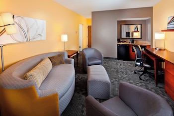 Suite, 1 King Bed with Sofa bed