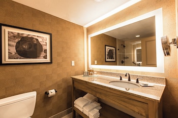 Deluxe Room, 1 King Bed, City View (Deluxe King ADA Tub)