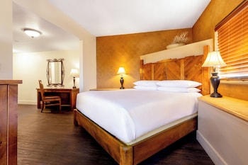 Suite, 1 King Bed (Junior Suite)