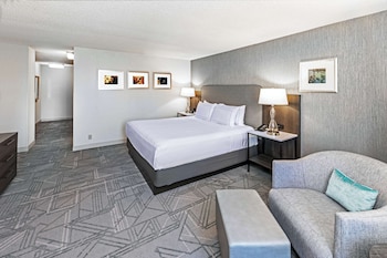 Room, 1 King Bed, Non Smoking
