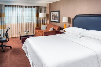 Classic Room, 1 King Bed (Mobility/Hearing Access, Roll-in Shwr)