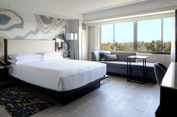 Room, 1 King Bed (Mobility Accessible, Roll-In Shower)