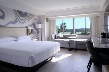 Room, 1 King Bed (Mobility Accessible, Roll-In Shower)