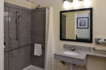 Room, 1 King Bed, Roll-in Shower, Non Smoking