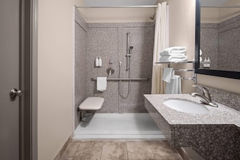 Room, 1 Queen Bed, Roll-in Shower, Non Smoking